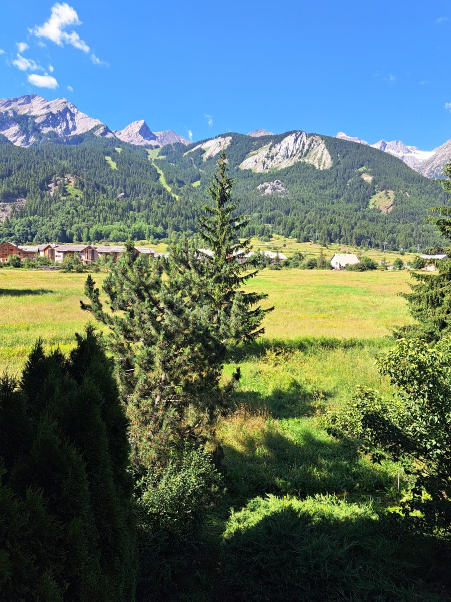 Marmotte