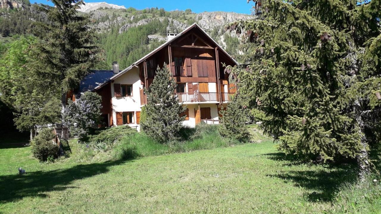 Marmotte Le Monêtier-les-Bains